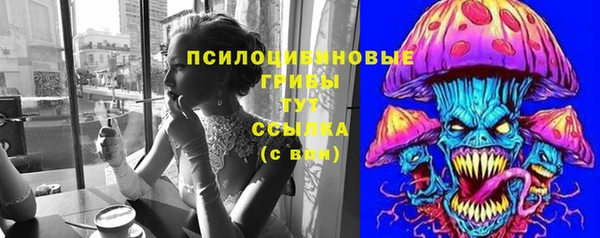 круглые Каменногорск
