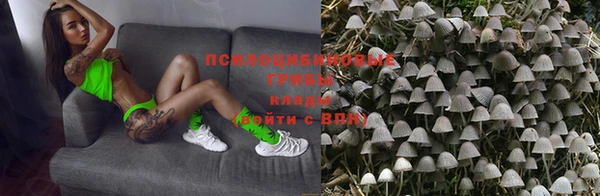 бутират Каменка