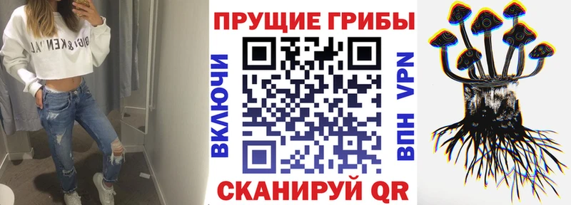 Купить где  Кинель  Галлюциногенные грибы ЛСД 